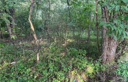 15 Cayuse Trail, Malvern, OH 44644