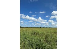 1490 County Road 3430, Honey Grove, TX 75446