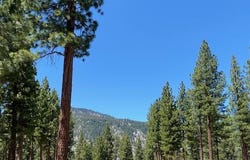 3355 Golf Club Drive unit: 97, Carson City, NV 89705