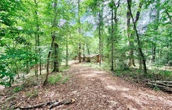 962 FM 256, Woodville, TX 75979