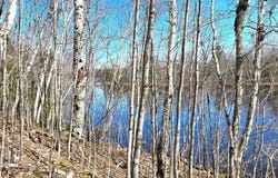 ON MAPLE RD, Presque Isle, WI 54557