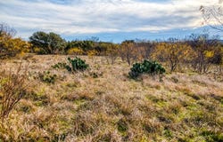 Tbd Reevs Road, Graham, TX 76450