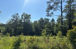 NHN Robert Rhodes Rd parcel 1, Poplarville, MS 39470