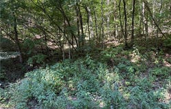 CR 995  RD, Green Forest, AR 72638