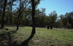 513 Palomino Court, Runaway Bay, TX 76426