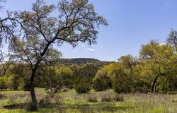 NW Hwy 16, Medina, TX 78055