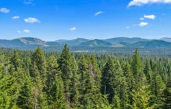 1022 SPRING HILL RD, NEWPORT, WA 99156