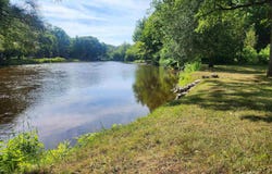 3251 Timberlane, Evart, MI 49631
