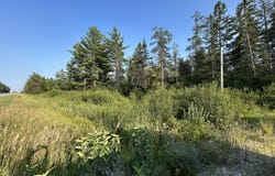 V/L W M-32, Alpena, MI 49707