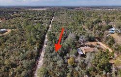 NE 233RD Lane, FORT MC COY, FL 32134