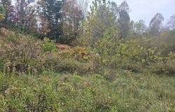 Blaine White Road, Erwin, TN 37650