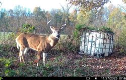 copeland rd, Crawfordsville, AR 72327