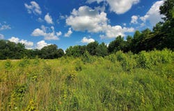 1306 CR 461, Piggott, AR 72454