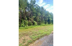 3109 County Road 41, Fyffe, AL 35971