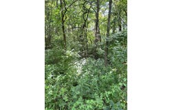 2184 Shadrick Ferry Road, Frankfort, KY 40601