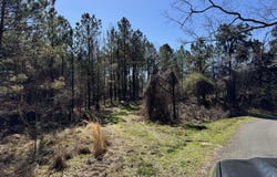 Hickory Ridge Road, Hermanville, MS 39086
