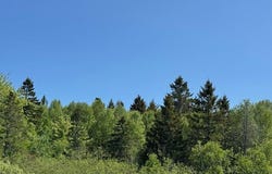 104 County Road, Eastport, ME 04631