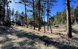 25325 Edyth Circle, Custer, SD 57730