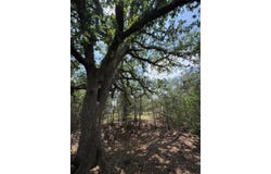 694 Brite RD, Lockhart, TX 78644