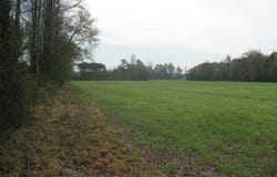Gary Road Oak Grove Community, Latta, SC 29565