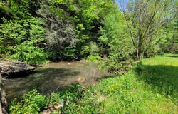 5625,5637 Grave Hill Rd Rd, Oneida, TN 37841