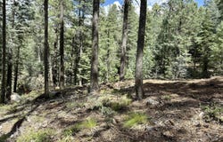 7964 S Millsite Drive, Prescott, AZ 86303