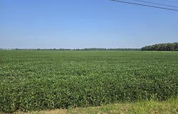 Henderson, KY 42420