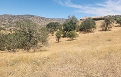 0 Mustang Dr, Tehachapi, CA 93561