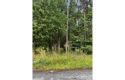 222 Wilson Street, Sumter, SC 29150