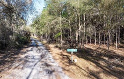 TBD SW TUSTENUGGEE AVE, Fort White, FL 32038
