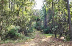 0 Lowery Rd, Atmore, AL 36502