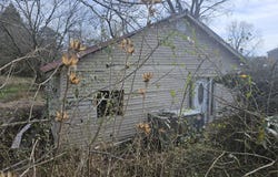 118 Polly Hollow Right Fork Rd, Middlesboro, KY 40965