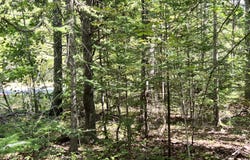 209AB E Brown's Point Road E, Bowdoinham, ME 04008