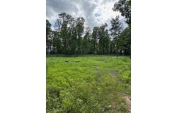 80 Acres N BRANCH ROAD, Wittenberg, WI 54499