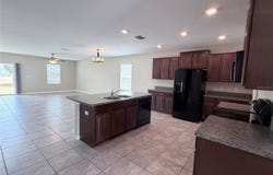10013 CRESTED FRINGE Drive, RIVERVIEW, FL 33578