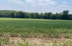 00 Elk Head Road, Bland, MO 65014
