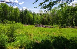 381 E Green Mountain Road, Claremont, NH 03743