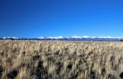 2587 Sangre Dr, Westcliffe, CO 81252