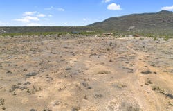 41990 N CAHAVA RANCH Road, Cave Creek, AZ 85331