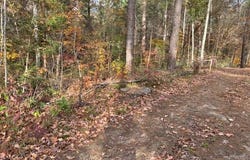 0001 Loggers Trail, Many, LA 71449