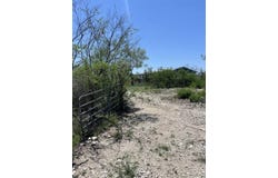 3 Buck, Del Rio, TX 78840