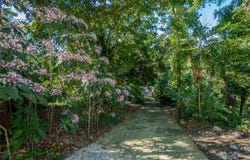 1 BARRIO JIMENEZ, RIO GRANDE, 00745
