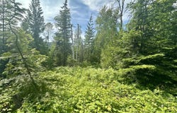 XXXX CEDAR CREEK ROAD, COLVILLE, WA 99114