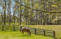 W2470 County Road B, Montello, WI 53949