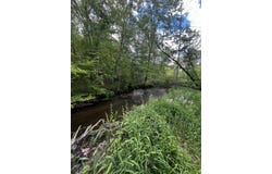 5650 Morrison Lake Road, Saranac, MI 48881