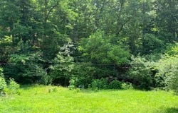 0 NE 6th Street, Mill Spring, MO 63952