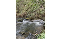 0 Lone Wolf Trail, Spencer, TN 38585