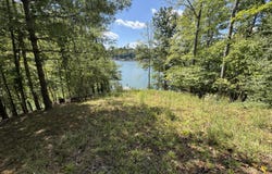 1344 Jumping Run Dr, Goodview, VA 24095