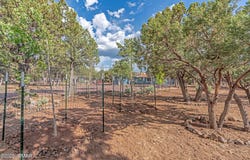 703 Backwoods Trail, Lakeside, AZ 85929
