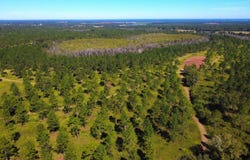 Bo Didley Road, Bronwood, GA 39826